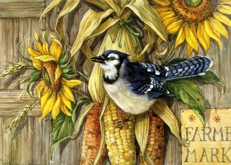 Осенний урожай - цветы, урожай, кукуруза, подсолнухи, подсолнух, птица, птицы - оригинал