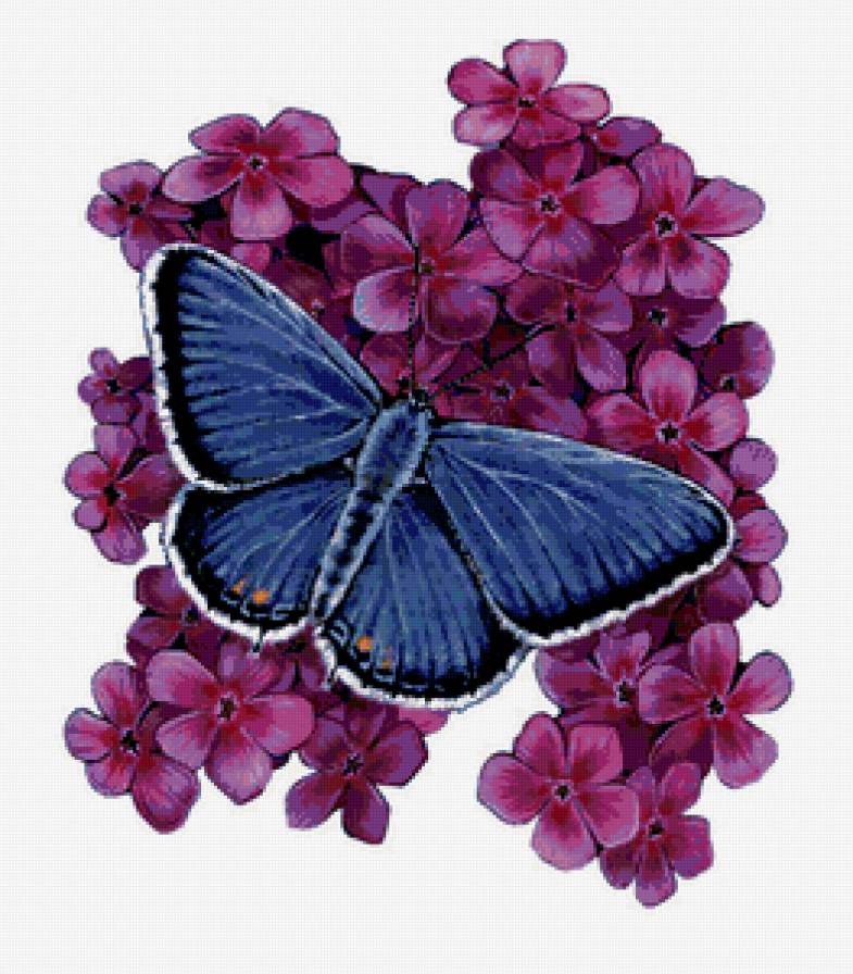 №319002 - предпросмотр