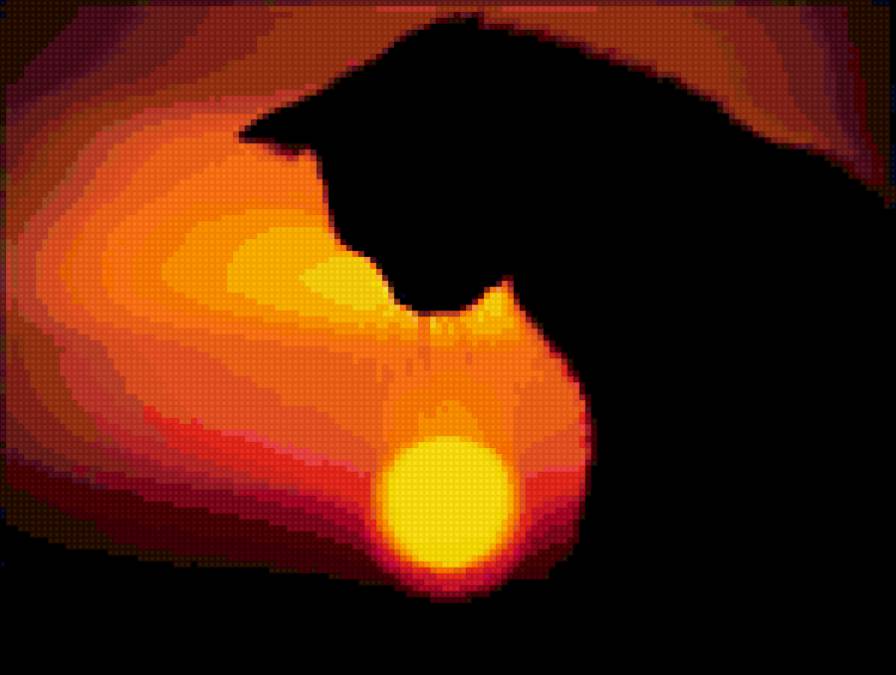 закат - кошка., закат - предпросмотр