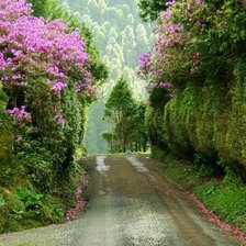 Оригинал схемы вышивки «№319063»