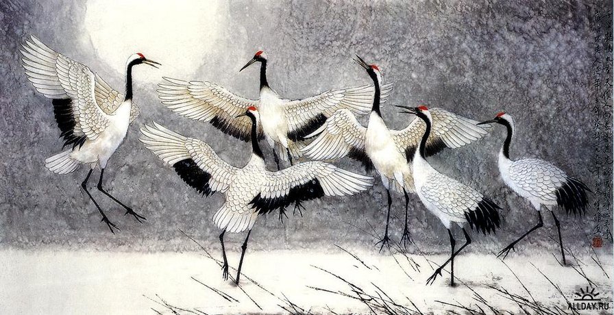 Журавли - журавли, птицы, зима - оригинал