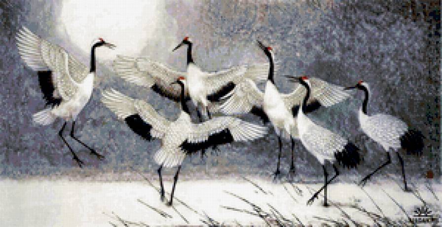 Журавли - птицы, журавли, зима - предпросмотр