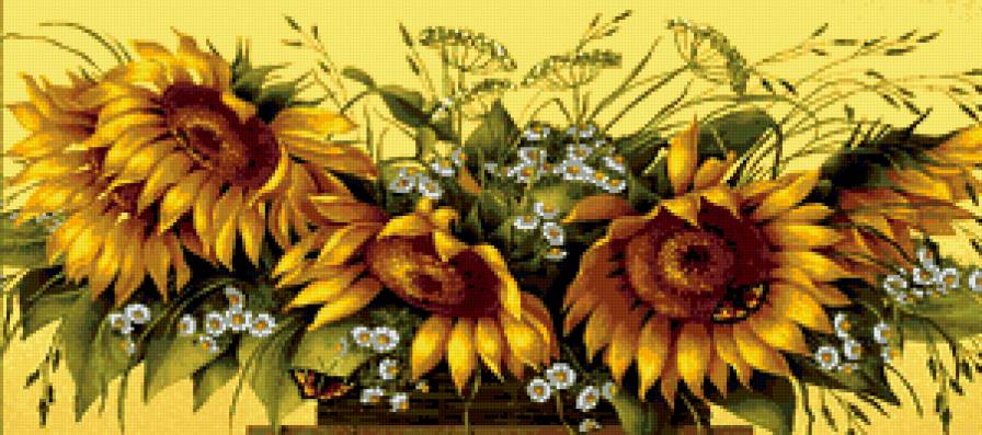 подсолнухи - цветы, подсолнухи - предпросмотр