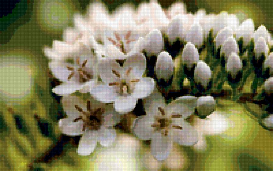 весна - весна, цветы, ветка - предпросмотр