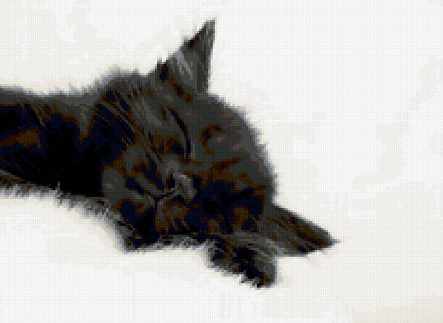 котенок - животные, кошка - предпросмотр