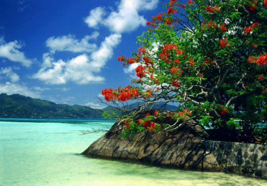 побережье - оригинал