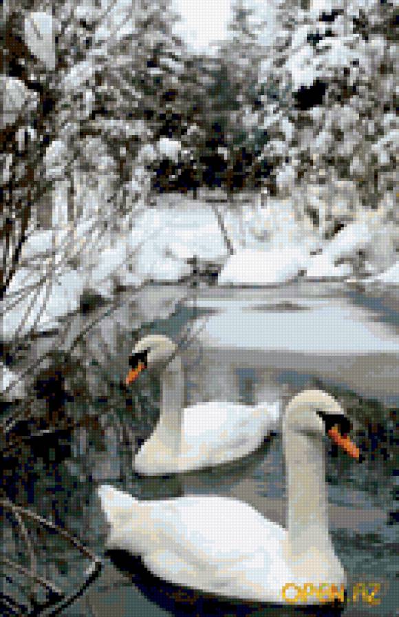 птицы - природа - предпросмотр