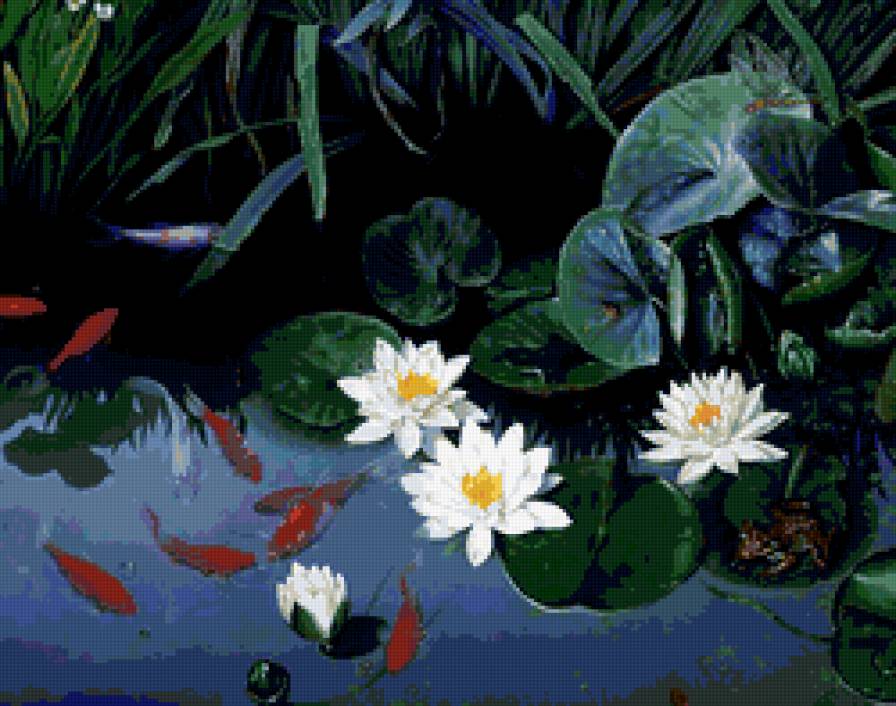 золотые рыбки - предпросмотр