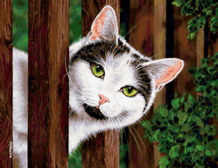 №319720 - предпросмотр