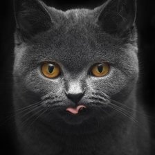 Схема вышивки «Дымка»