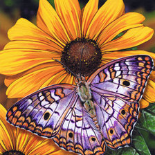 Оригинал схемы вышивки «№319730»