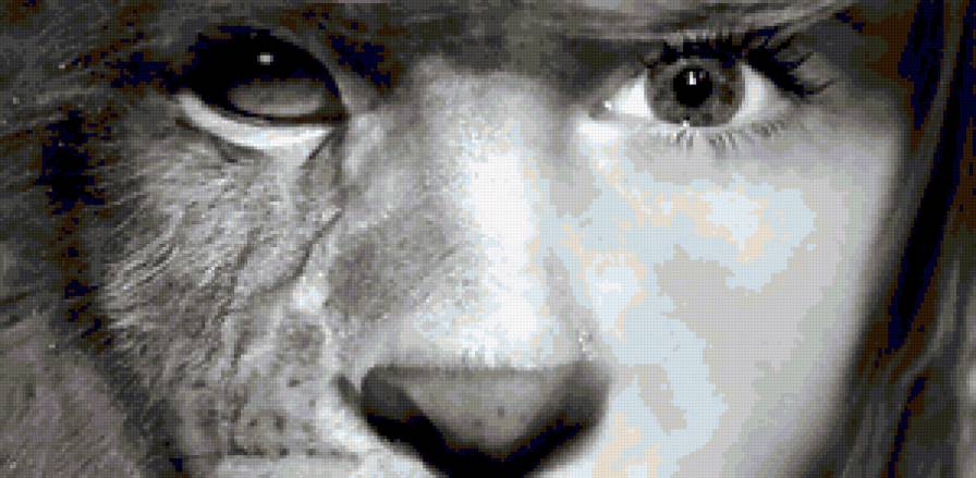 She Cat - предпросмотр