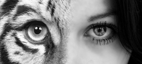 She Cat - оригинал