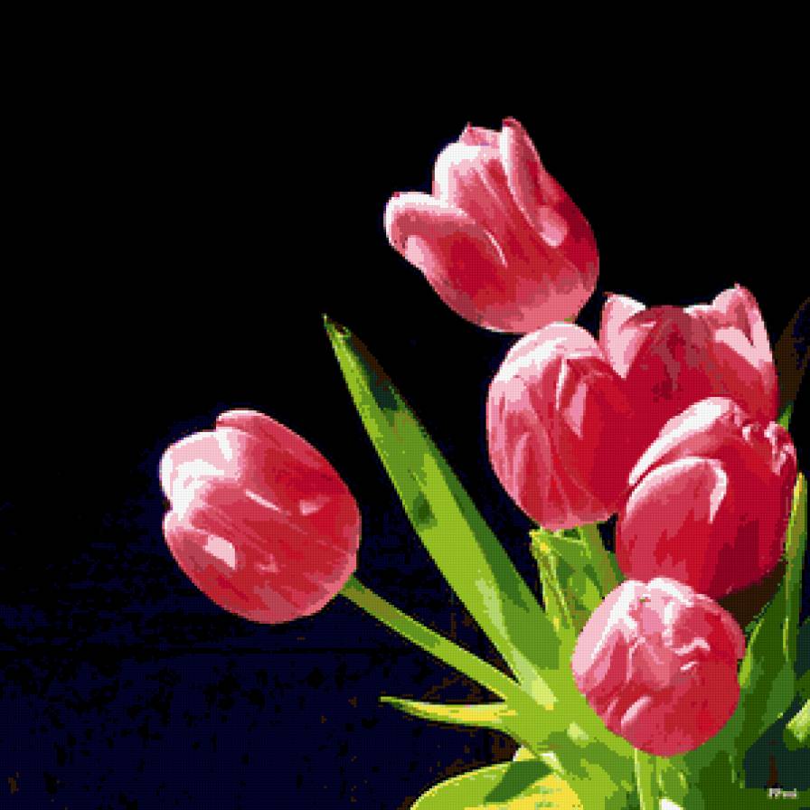 тюльпаны - цветы, букет, тюльпаны - предпросмотр