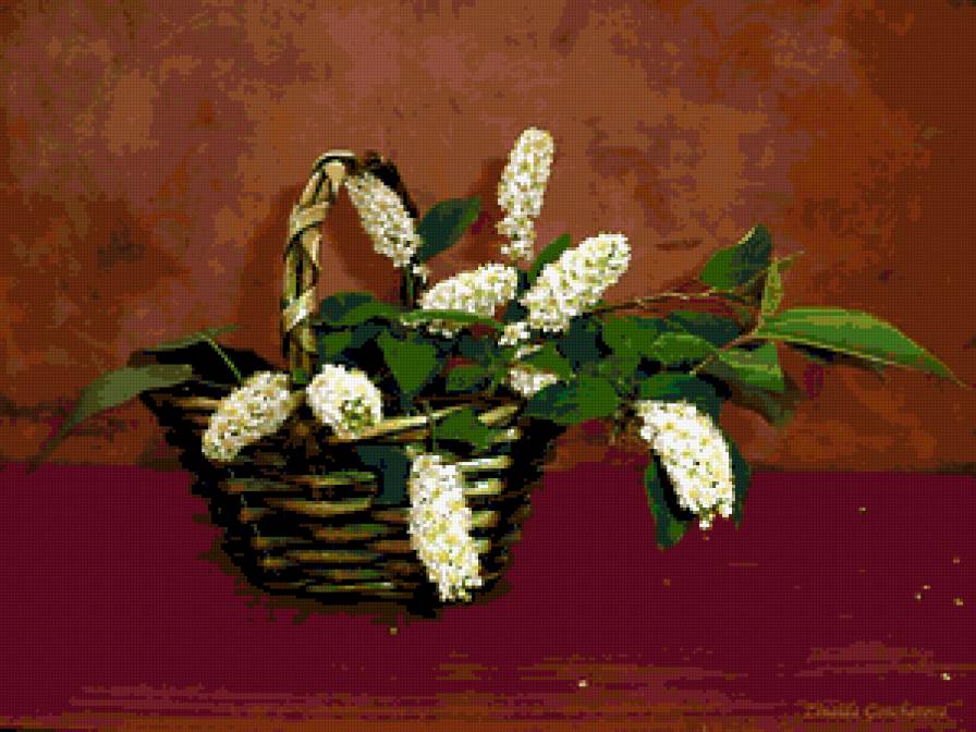 черемуха - букет, цветы, черемуха - предпросмотр