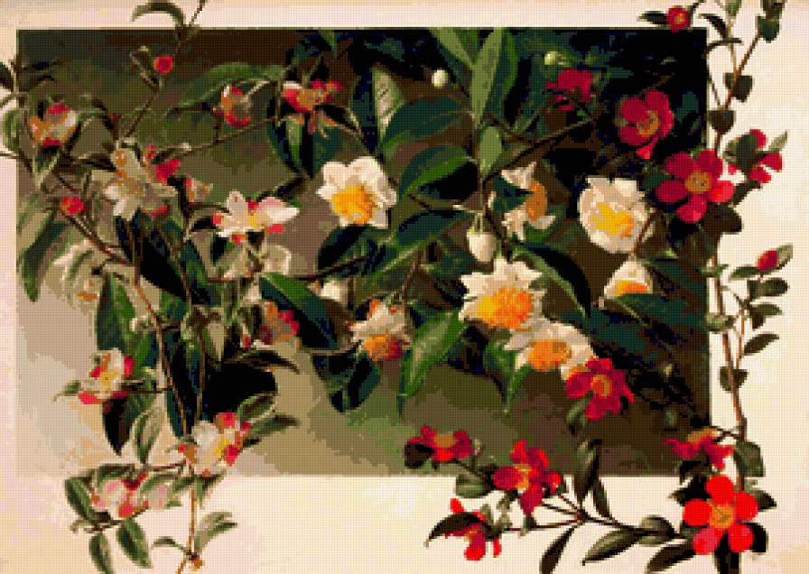 цветы - цветы - предпросмотр