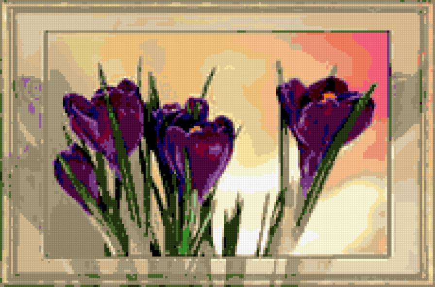 крокусы - цветы., весна - предпросмотр