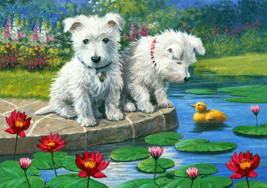 №320009 - пруд, собаки - оригинал