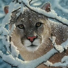 Схема вышивки «охота»