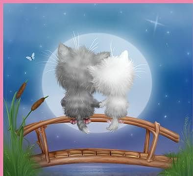 двое котят - коты - оригинал