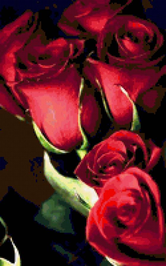 Прекрасные розы - розы, цветы, красота - предпросмотр