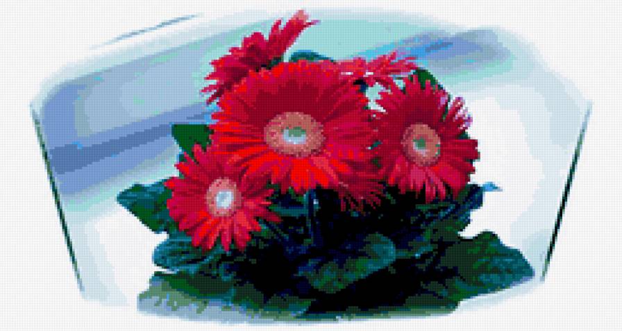 №320811 - герберы, цветы - предпросмотр