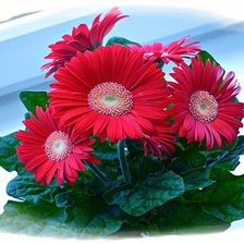 Схема вышивки «№320811»