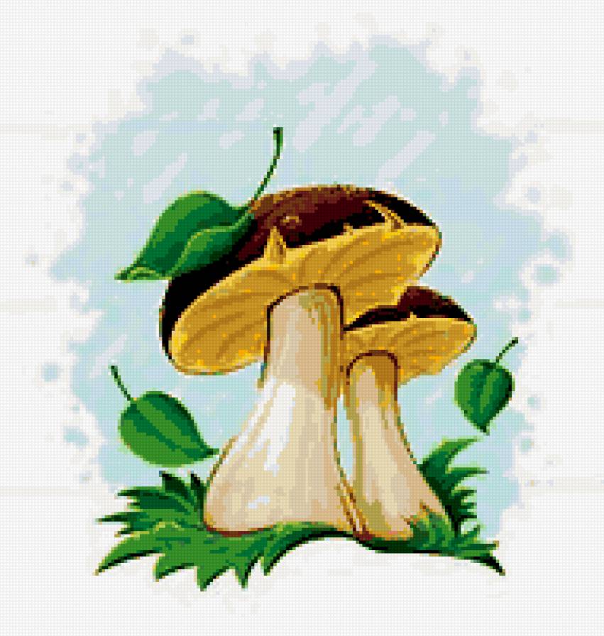 №320929 - предпросмотр