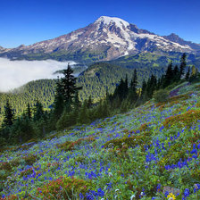 Оригинал схемы вышивки «пейзаж» (№320959)