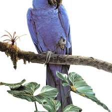 Схема вышивки «№320962»