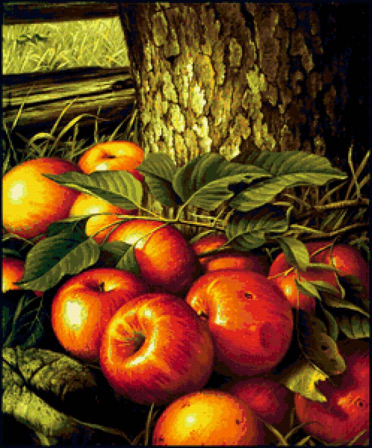 яблоки - природа, урожай, яблоки - предпросмотр