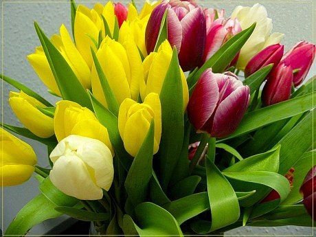 №321055 - оригинал