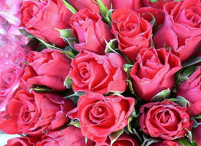 №321056 - оригинал