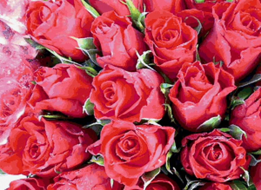 №321056 - предпросмотр