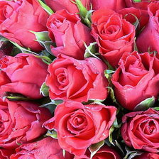 Схема вышивки «№321056»