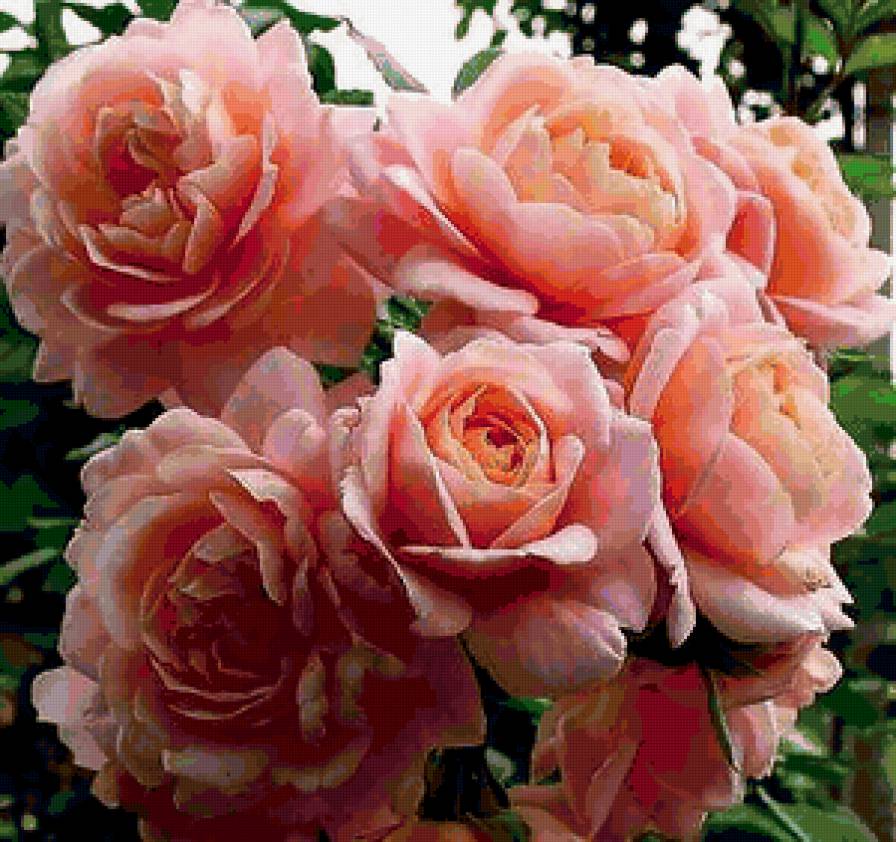 №321059 - предпросмотр