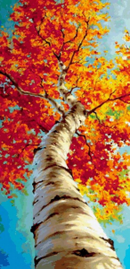 березка - лес, осень, природа - предпросмотр