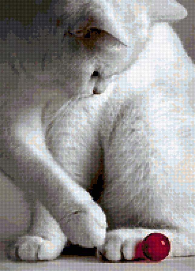 кошка - предпросмотр