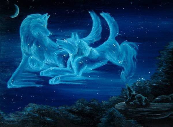 лунные волки - волк, вой, ночь, небо, волки, луна - оригинал