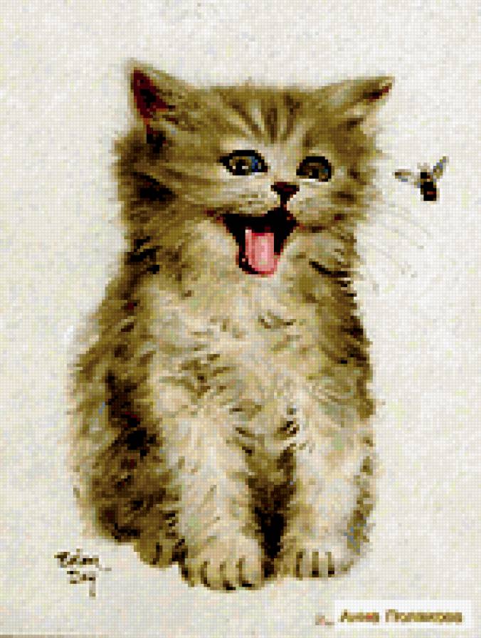 Мурзик и муха - любимцы, пушистые комочки - предпросмотр