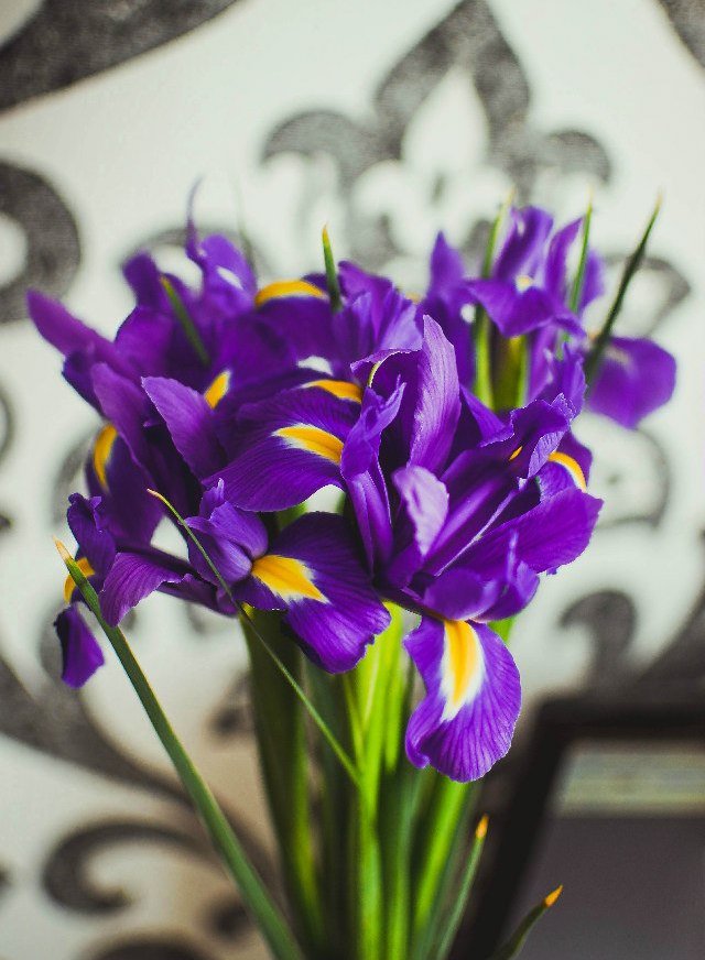 каллы - оригинал