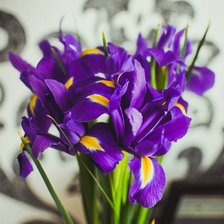 Схема вышивки «каллы»