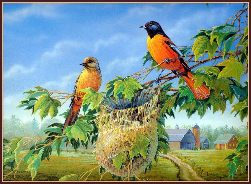 Ткачики на гнезде - птицы, пейзаж - оригинал