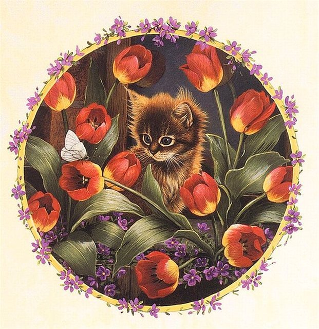 котик - животные - оригинал