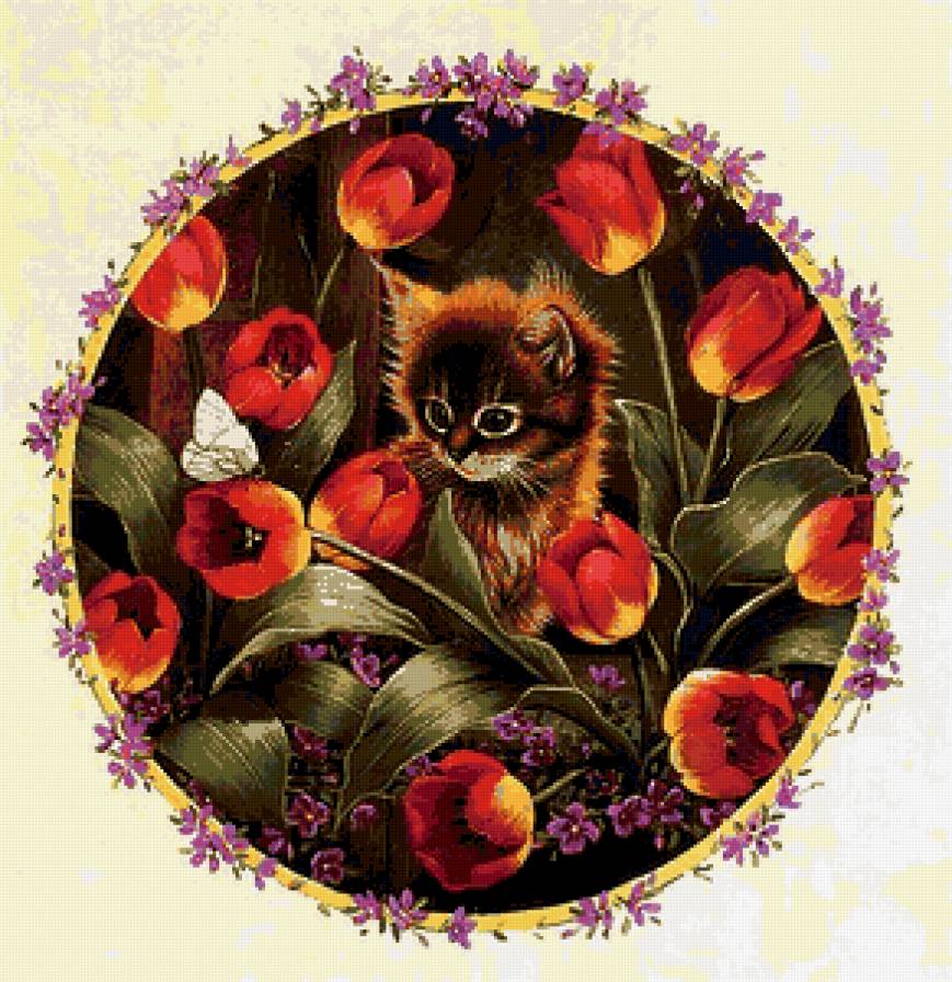 котик - животные - предпросмотр