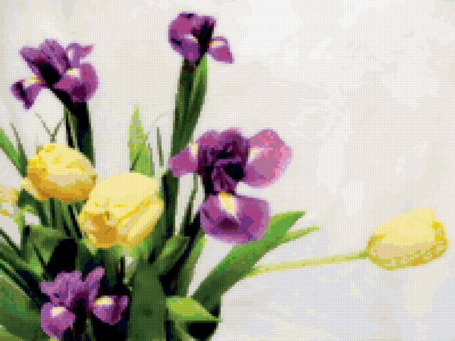 №321528 - ирисы, букет, цветы, тюльпаны - предпросмотр
