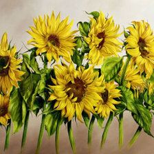 Схема вышивки «подсолнухи»