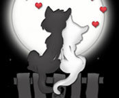 влюблённые котята - для тех кто любит кошек - оригинал