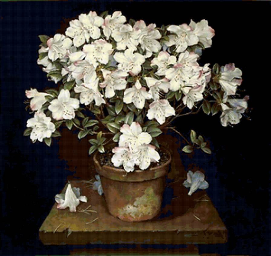 цветы в горшке - цветы - предпросмотр