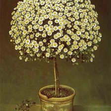 Схема вышивки «цветы в горшке»